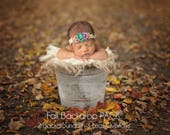 Fall Digital Background Backdrop Bucket Pack- for Newborn Photography Composite