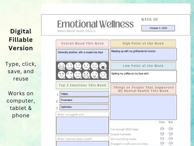 Emotionell klarhetsjournal: Ifyllbart formulär för humör- och triggerspårning (PDF digital nedladdning) bild 3