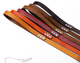 Dog Leashes