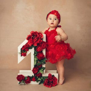 Floral Baby Girl Romper, 1st Birthday Outfit Girl, Baby Birthday Outfit, Vintage Floral Romper, Cake Smash Baby Outfit