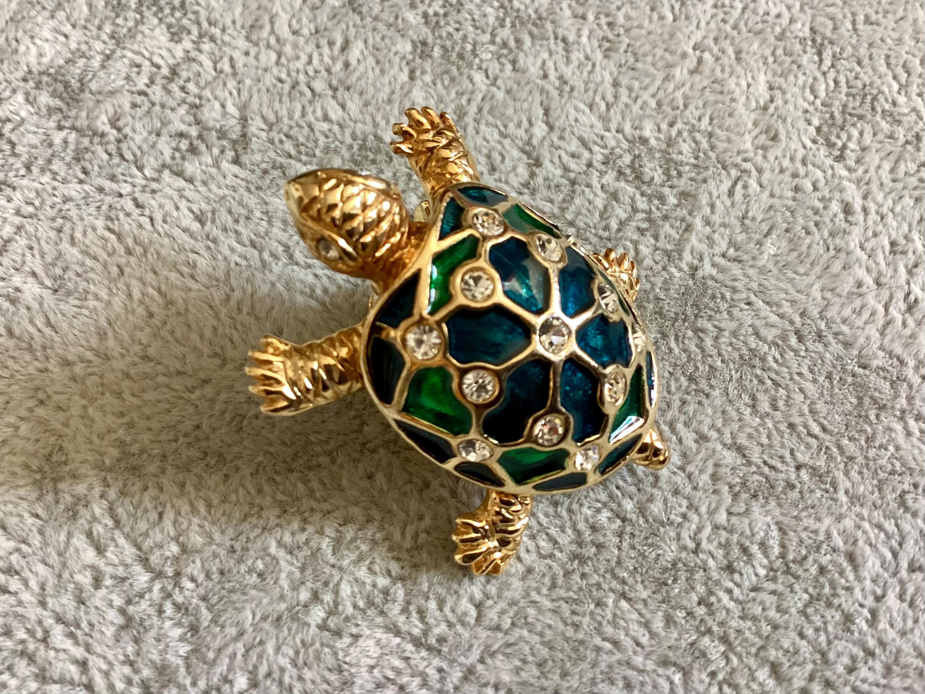 Touch turtle España