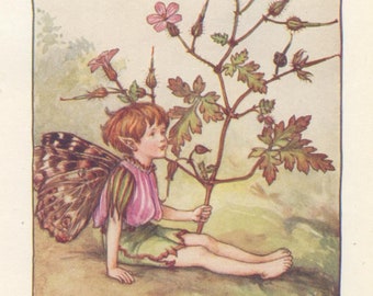 Herb Robert Fairy Vintage Print, Cicely Mary Barker, 1940s Flower Fairies