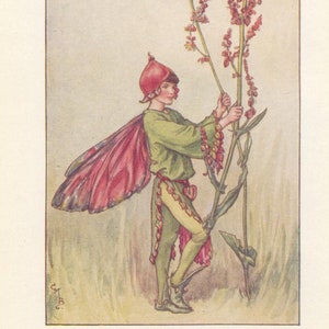 Original The Sorrel Fairy print, Flower Fairies of the Summer, Original Vintage Print, Cicley mary Barker, c 1940, nursery decor