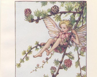 Vintage Larch Fairy Print, Cicely Mary Barker, 1940s Flower Fairies