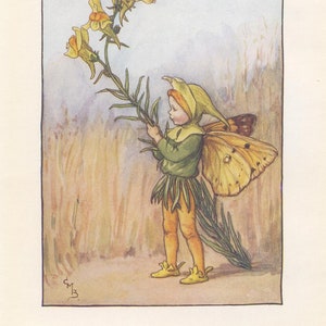 Original The Toadflax Fairy print, Flower Fairies of the Summer, Original Vintage Print, Cicley mary Barker, c 1940, nursery decor