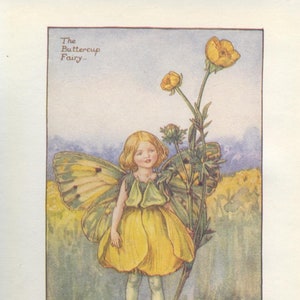 Original The Buttercup Fairy print, Flower Fairies of the Summer, Original Vintage Print, Cicley mary Barker, c 1940, nursery decor