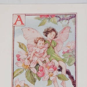 Original flor hada alfabeto letra A, flor de manzana, Cicley mary Barker flor hadas, impresión de monograma vintage, c 1940, decoración de vivero