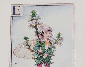 Original Flower Fairy Alphabet letter E, Eyebright, Cicley mary Barker flower fairies, vintage monogram print, c 1940, nursery decor