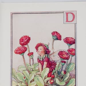 Alfabeto de hadas de flores original, letra D, margarita doble, hadas de flores de Cicley Mary Barker, impresión de monograma vintage, c. 1940, decoración de guardería