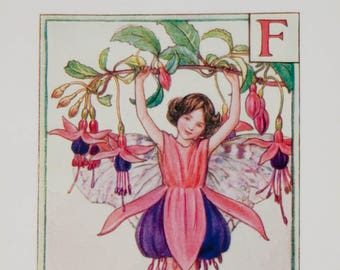 Flower Fairies Mounted F Fuchsia Alphabet Flower Fairy