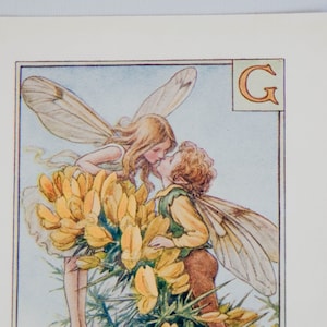 Original flor hada alfabeto letra G, Gorse, Cicley mary Barker flor hadas, impresión de monograma vintage, c 1940, decoración de vivero