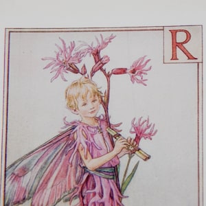 Letra R del alfabeto de hadas de las flores original, Ragged Robin, hadas de las flores de Cicley Mary Barker, impresión de monograma vintage, década de 1940, decoración de guardería
