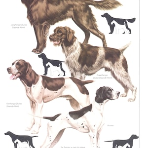 Vintage hondenrassenprint, kortharige staande hond, cadeau hondenliefhebber