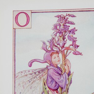 Alfabeto de hadas de flores original, letra O, orquídea, hadas de flores de Cicley Mary Barker, impresión de monograma vintage, década de 1940, decoración de guardería
