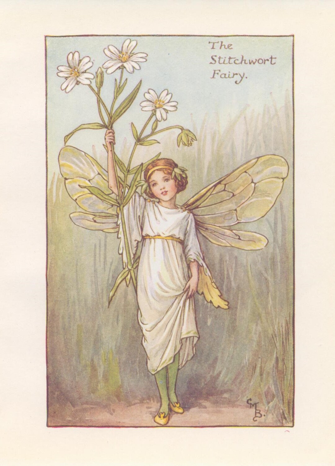 Original The Stitchwort Fairy Print Flower Fairies Of The Spring