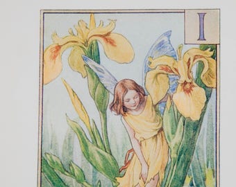 Original Flower Fairy Alphabet letter I, Iris, Cicley mary Barker flower fairies, vintage monogram print, c 1940, nursery decor