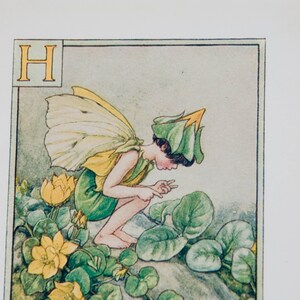 Original flor hada alfabeto letra H, hierba dos peniques, Cicley mary Barker flor hadas, impresión de monograma vintage, c 1940, decoración de vivero