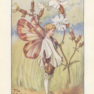 Original The White Campion Fairy print, Flower Fairies of the Summer, Original Vintage Print, Cicley mary Barker, c 1940, nursery decor