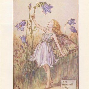 Original The Harebell Fairy print, Flower Fairies of the Summer, Original Vintage Print, Cicley mary Barker, c 1940, nursery decor