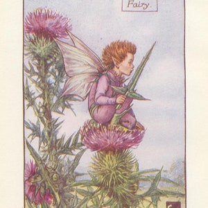 Original The Thistle Fairy print, Flower Fairies of the Summer, Original Vintage Print, Cicley mary Barker, c 1940, nursery decor