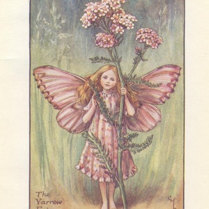 Original The Yarrow Fairy print, Flower Fairies of the Summer, Original Vintage Print, Cicley mary Barker, c 1940, nursery decor
