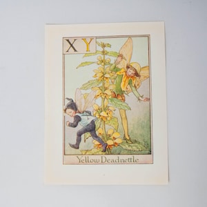 Letras originales del alfabeto de hadas de las flores XY, ortiga amarilla, hadas de las flores de Cicley Mary Barker, impresión de monograma vintage, 1940, decoración de guardería