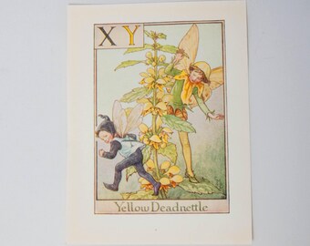 Original Flower Fairy Alphabet Letters XY, Yellow Deadnettle