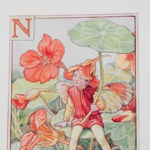 Letra N del alfabeto original de hadas de las flores, capuchina, hadas de las flores de Cicley Mary Barker, impresión de monograma vintage, década de 1940, decoración de guardería