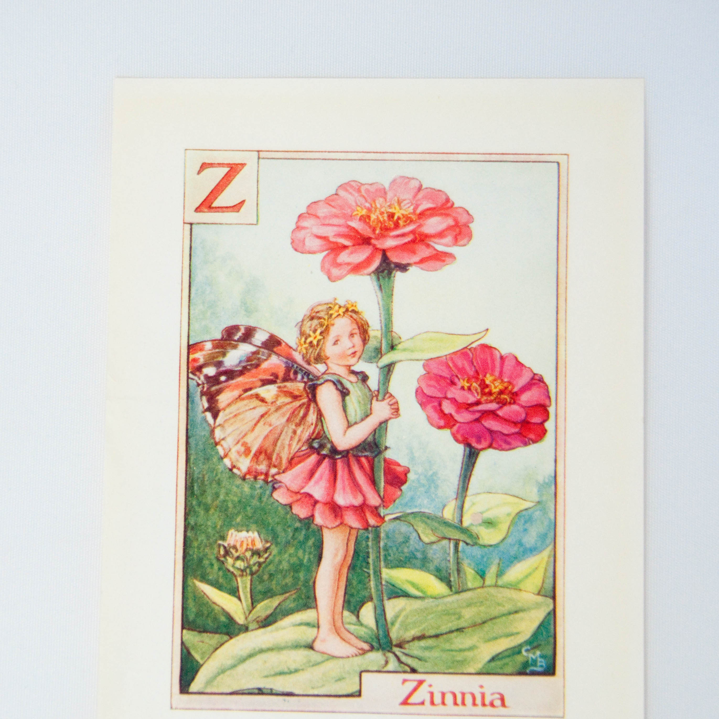 【2025A/W新作★送料無料】 Original Flower Fairy Alphabet Letter Z, Zinnia, Cicley Mary 洋書