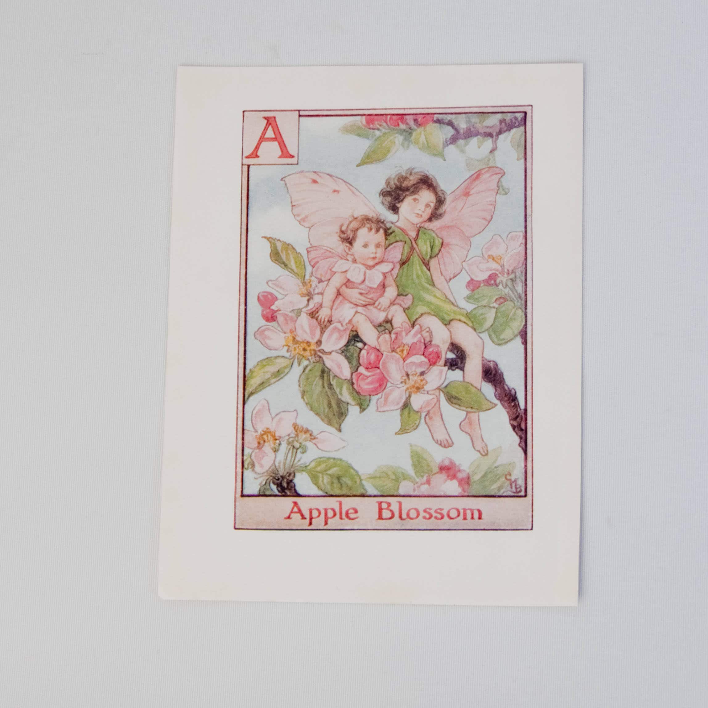 Original Flower Fairy Alphabet letter A, Apple blossom, Cicley mary Barker flower fairies, vintage monogram print, c 1940, nursery decor