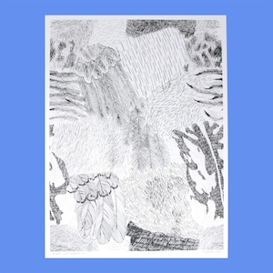 May include: A black and white ink drawing on paper featuring a complex pattern of layered feathers, dense cross-hatched textures, and organic shapes. The composition includes fine line work and varied shading techniques across the entire surface.