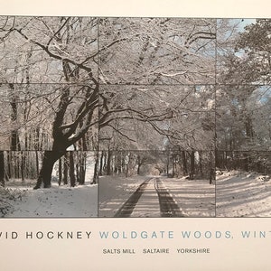 David Hockney Poster  Gallery Museum Exhibition Poster Woldgate Woods Large 70x40cm Original Genuine