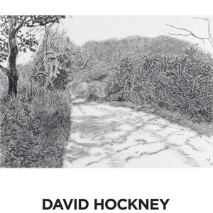 David Hockney Original Gallery Exhibition Poster Woldgate Beautiful A1 Size Poster