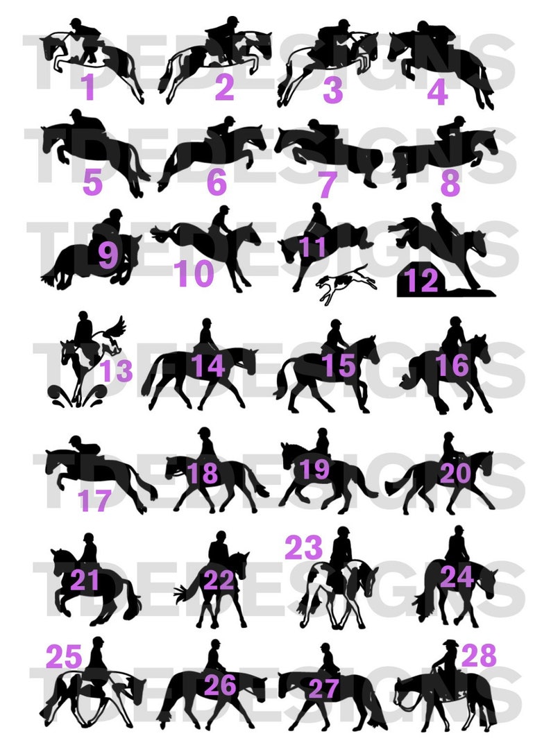 Paint Horse Name or Monogram Decal 50 Disciplines & Breeds Etsy