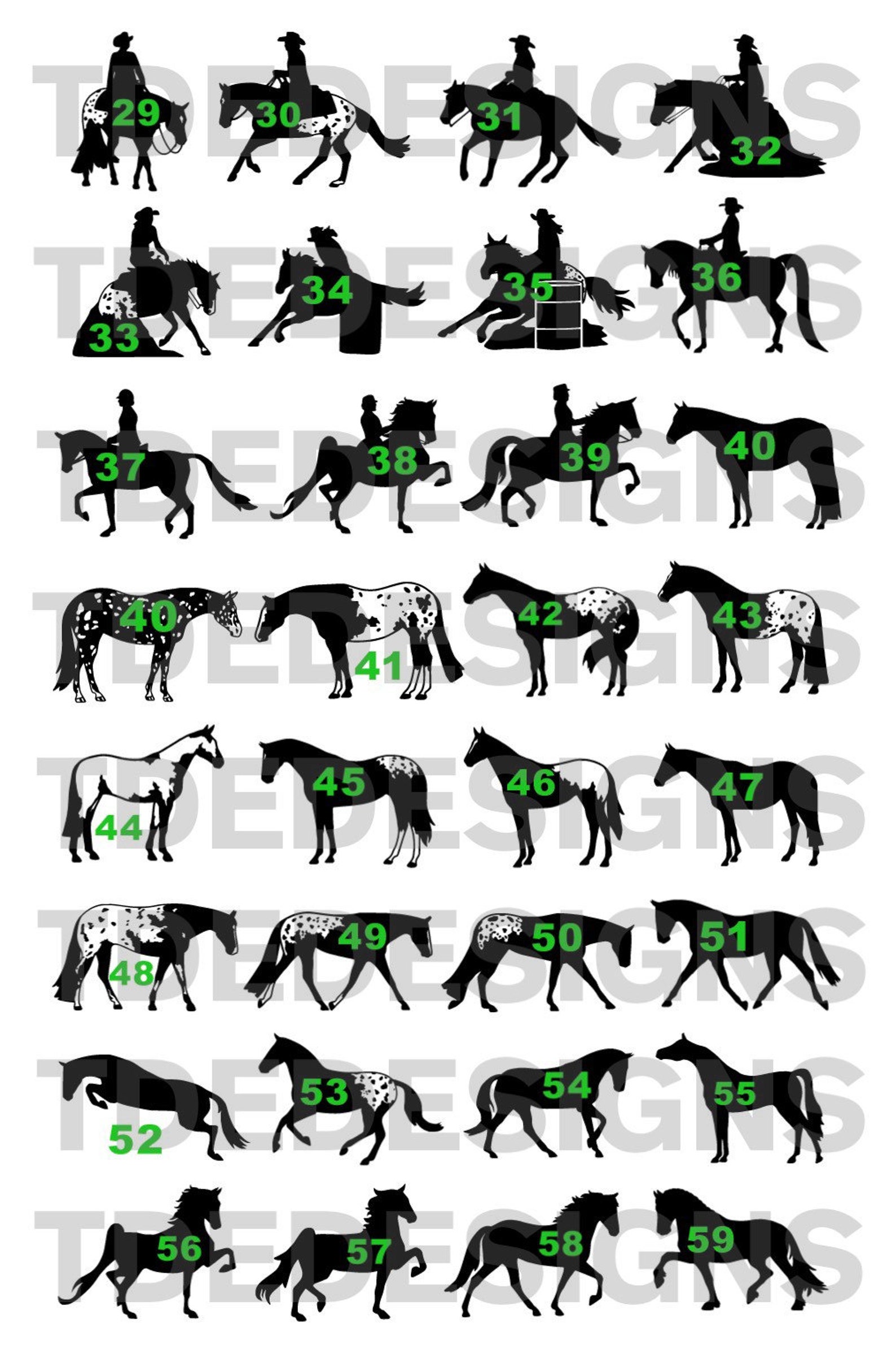 Appaloosa Horse Name/Monogram Car Decal 59 Disciplines & Etsy