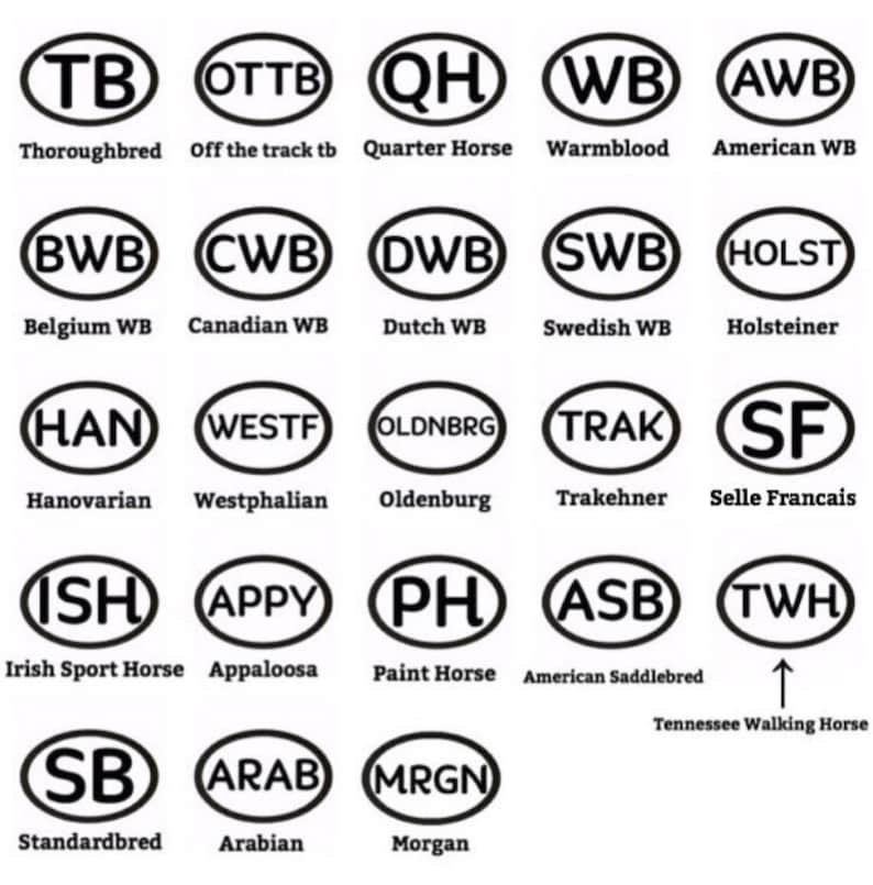 Layered Horse Breed Abbreviation Marathon Inspired Vinyl Car Etsy