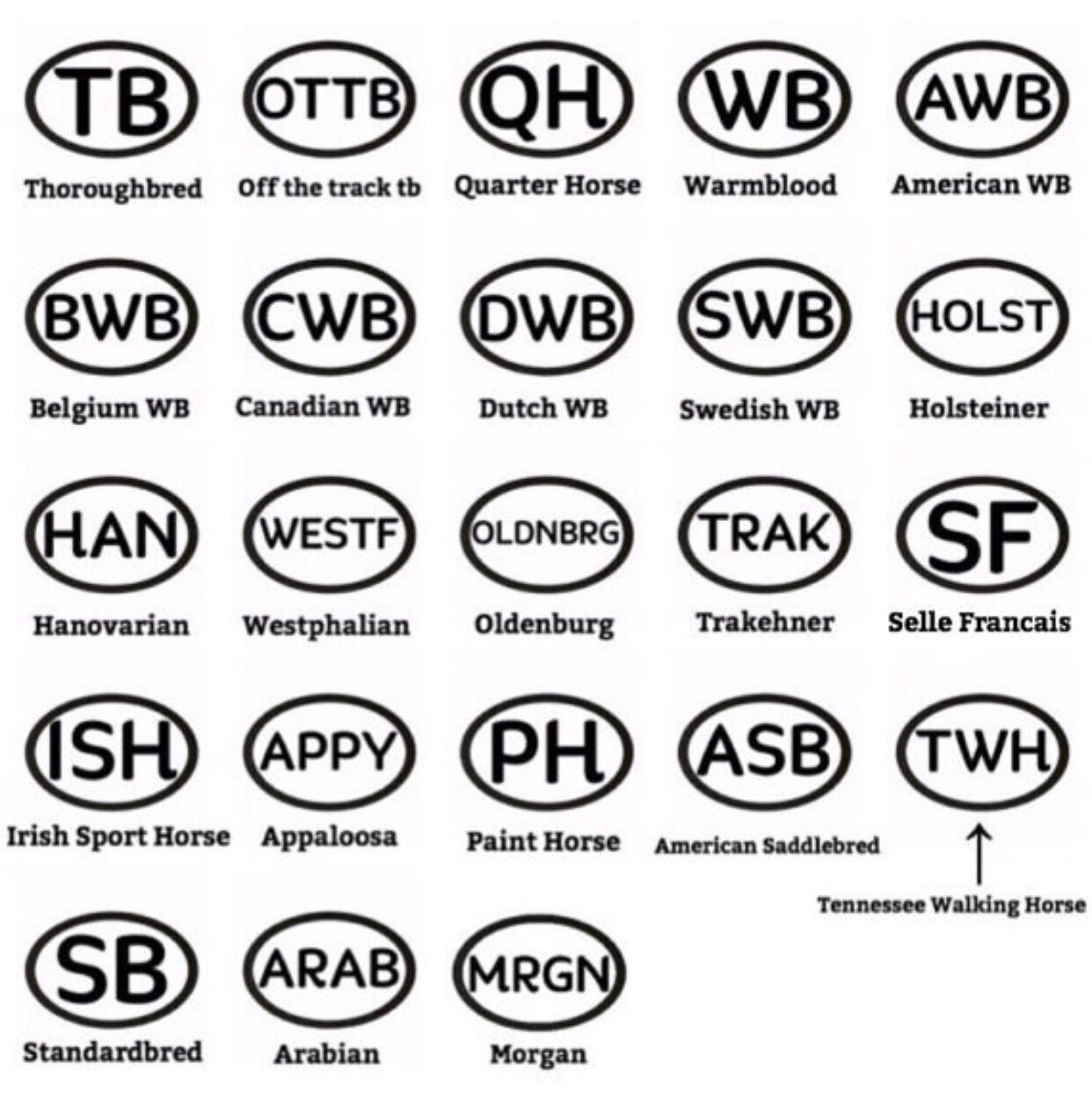 Layered Horse Breed Abbreviation Marathon Inspired Vinyl Car Etsy