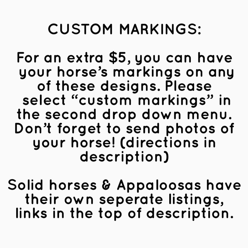 Paint Horse Name or Monogram Decal 50 Disciplines & Breeds Etsy