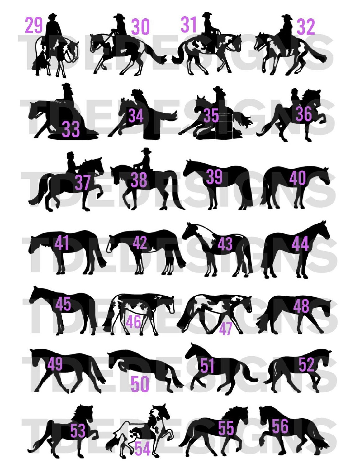 Paint Horse Name or Monogram Decal 50 Disciplines & Breeds Etsy