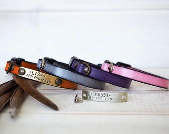 Cat & Small Dog Collar, Breakaway collar, Personalized Collar.