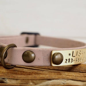 Cat Collar, Dog Collar, Cork Webbing Collar,  Breakaway Collar, Cat Collar Breakaway, Adjustable Collar, Personalized Collar, Kitty Collar