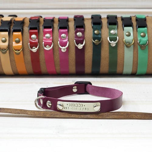 personalized breakaway collar