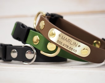 Dog Collars