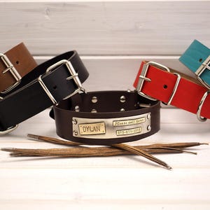 Handmade Leather Dog Collar: Personalized Large Breed Collar with ID Tag