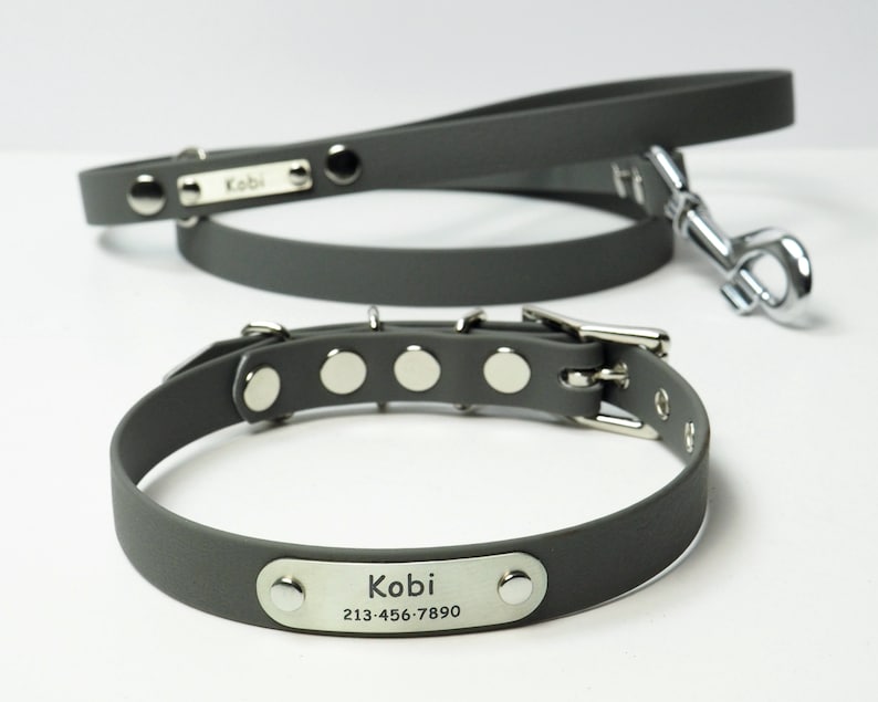 Ensemble collier et laisse pour chien imperméable, combo collier et laisse en cuir végétalien pour chiens, étiquette d'identification de collier de chien et laisse personnalisée, nom de collier de chien image 6