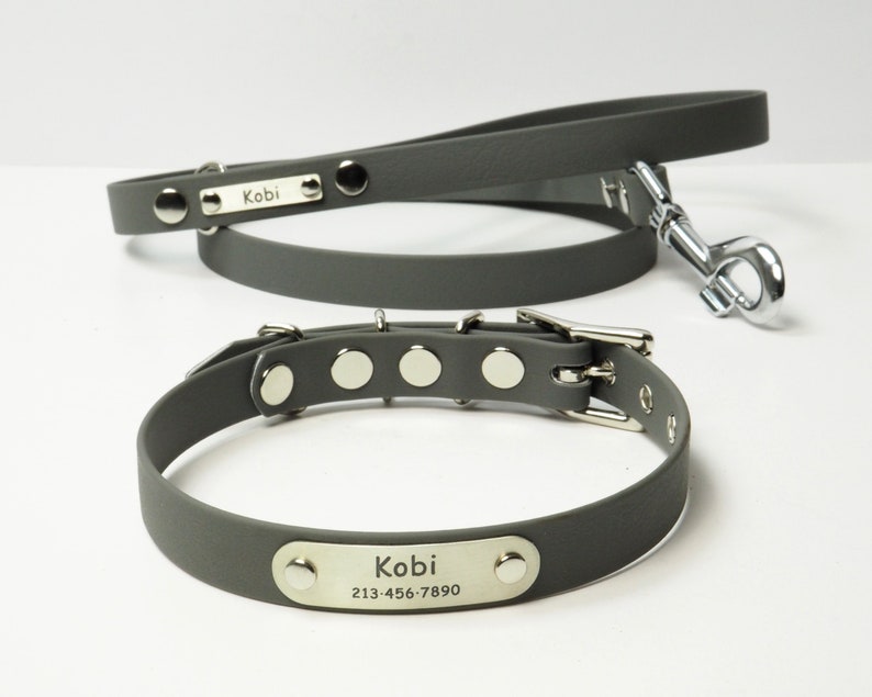 Ensemble collier et laisse pour chien imperméable, combo collier et laisse en cuir végétalien pour chiens, étiquette d'identification de collier de chien et laisse personnalisée, nom de collier de chien image 1