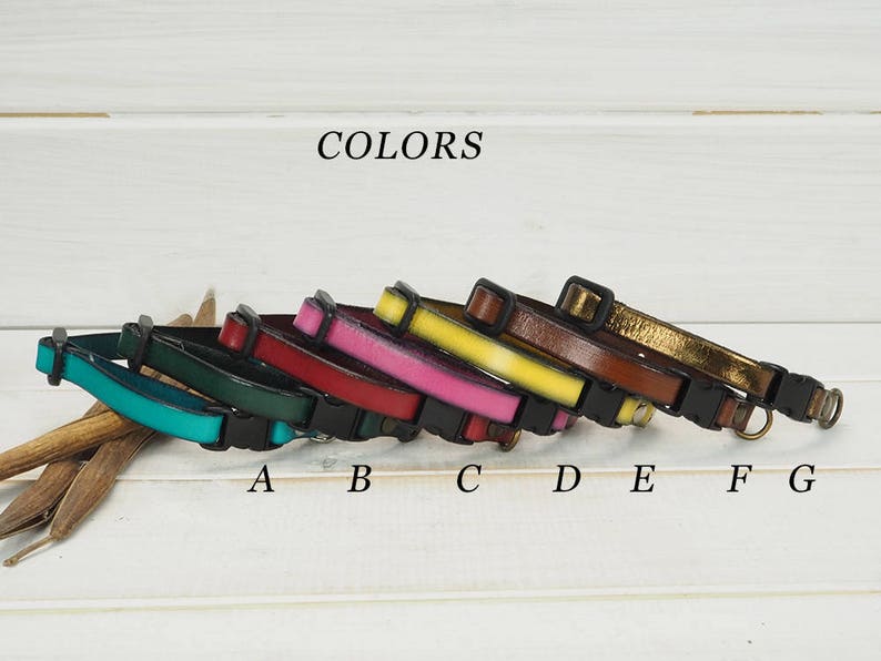 Dog Collar Leather Collar Dog Collar Leather Breakaway Etsy
