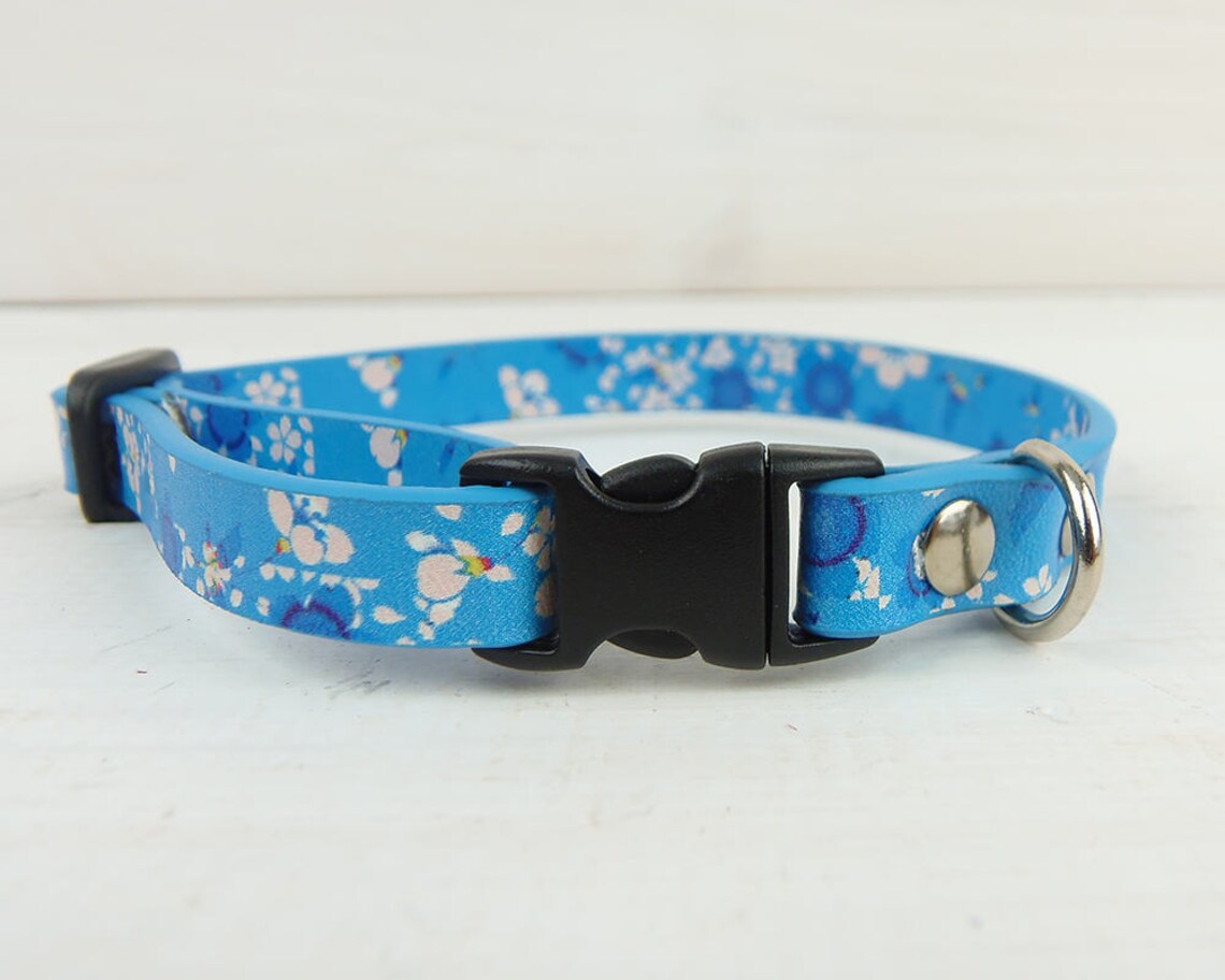 Cat Collar Dog Collar Small Dog Collar Breakaway Collar Etsy