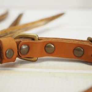 K&ouml;nnte beinhalten: Ein braunes Lederhundekragen mit Messingbeschl&auml;gen und vier Nieten. Das Halsband ist aus weichem, geschmeidigem Leder gefertigt und hat eine robuste Schnalle.
