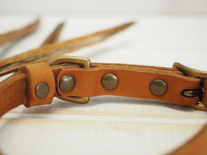 K&ouml;nnte beinhalten: Ein braunes Lederhundekragen mit Messingbeschl&auml;gen und vier Nieten. Das Halsband ist aus weichem, geschmeidigem Leder gefertigt und hat eine robuste Schnalle.